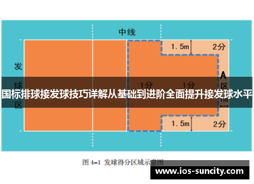 国标排球接发球技巧详解从基础到进阶全面提升接发球水平